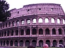 CIMG0534.jpg